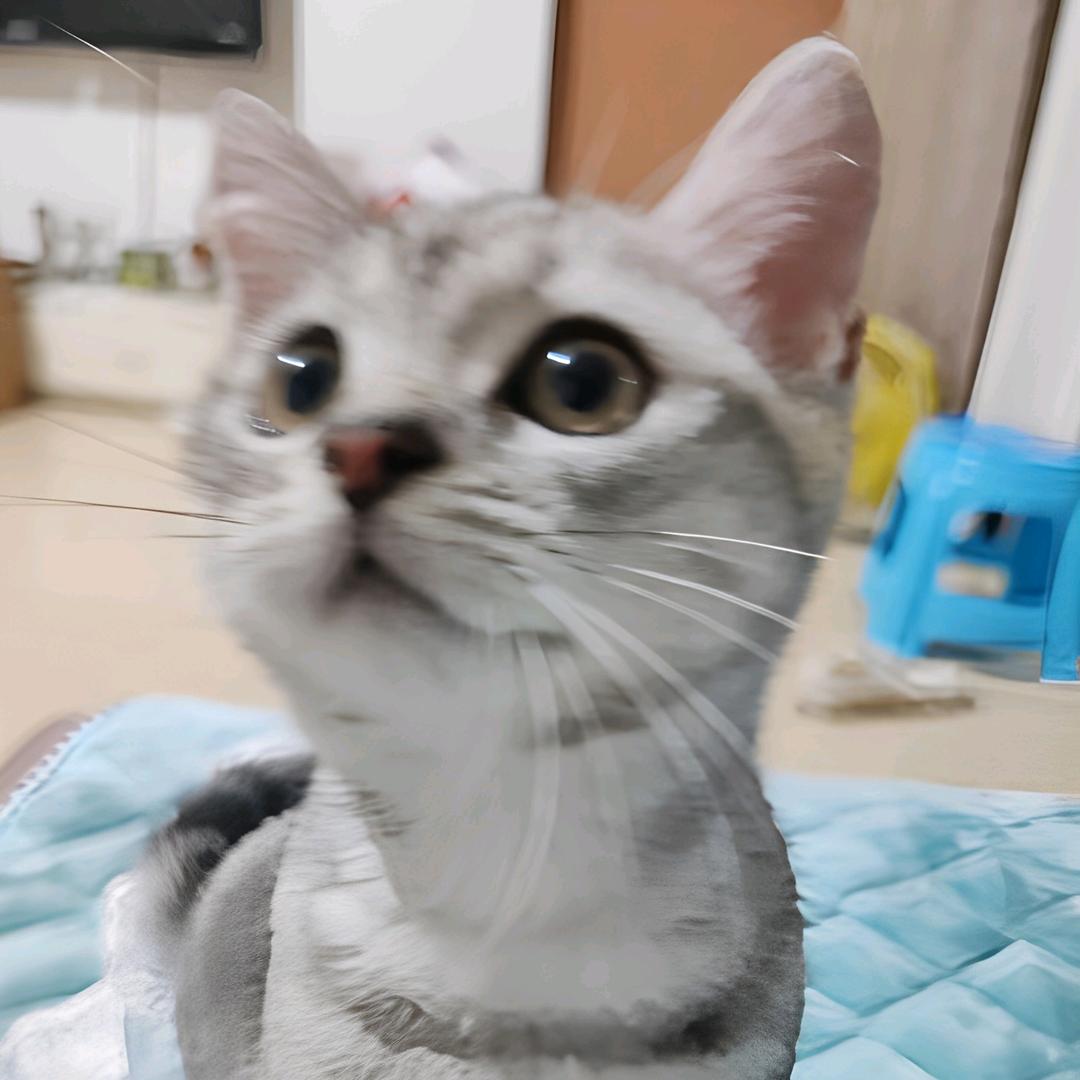 心悦🐈Y