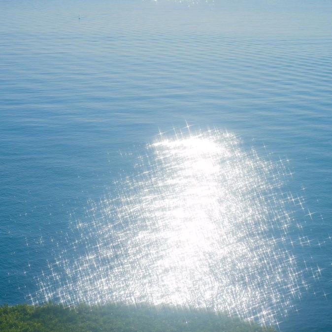 🌟月落潮夕枫浅浅🌊🫧