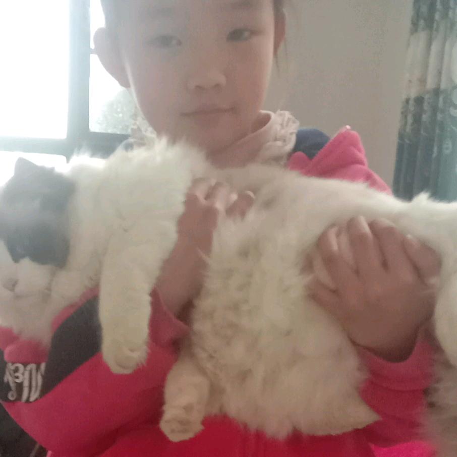 帅哥我是周宜文