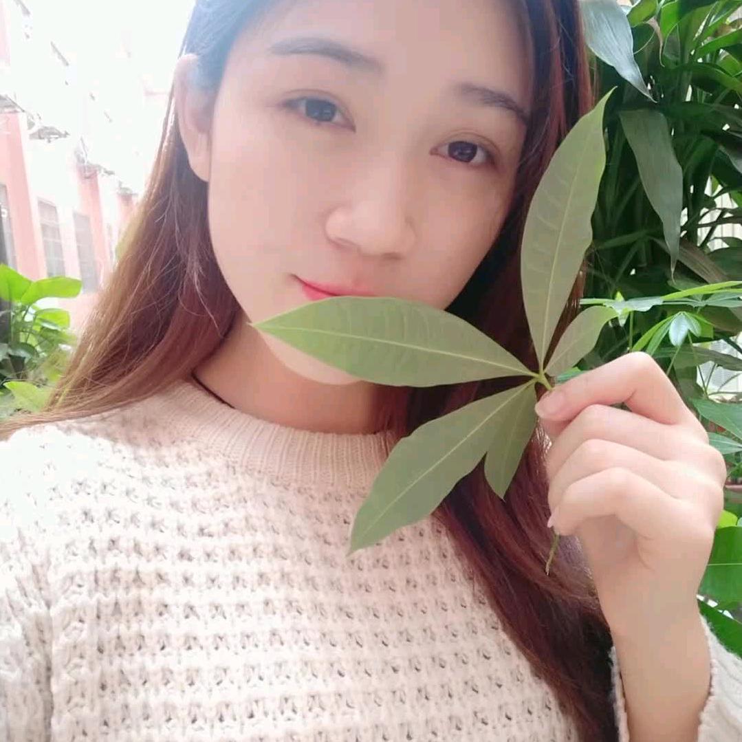 西双版纳老沈