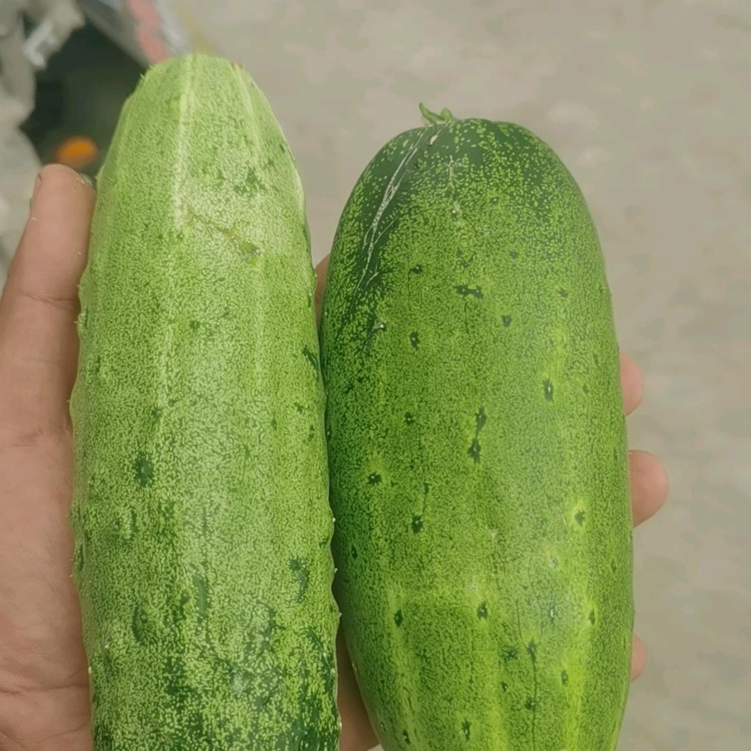姗姗来迟
