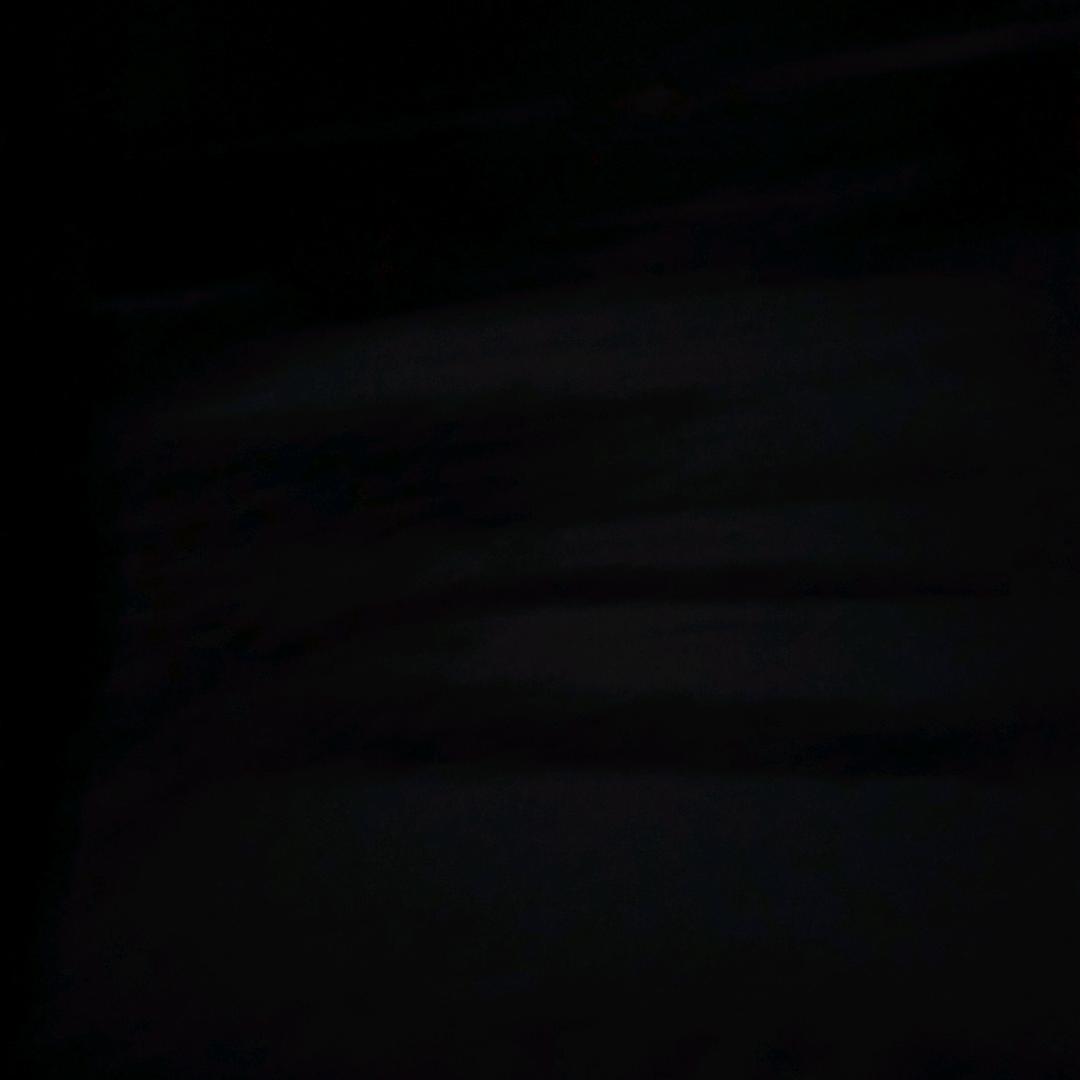 兔