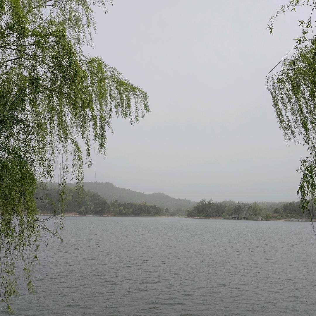 阿洋🌛
