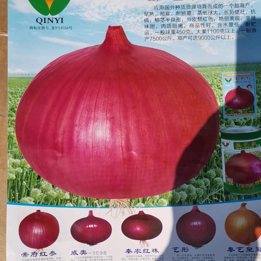 秦艺种业