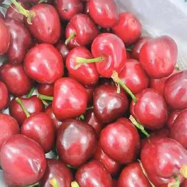 樱桃🍒