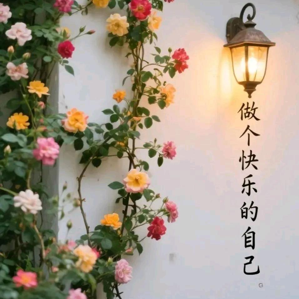 群星演艺高俊刚