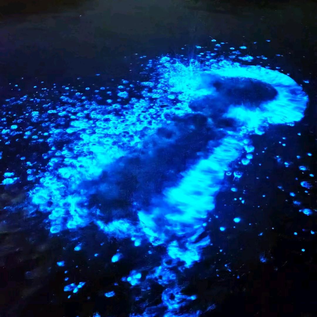 飞翔天空