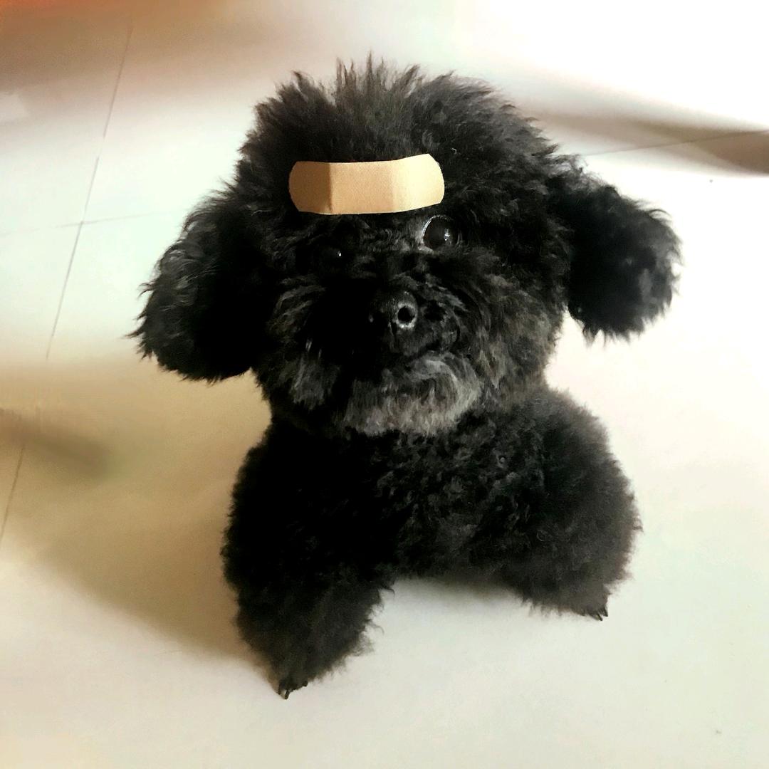 仍然是那个少年🥜
