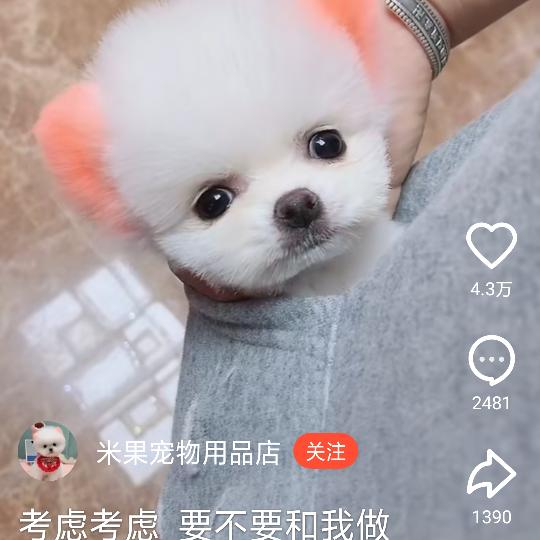 ꧁♡『爱吃土豆的西红柿』♡꧂の™