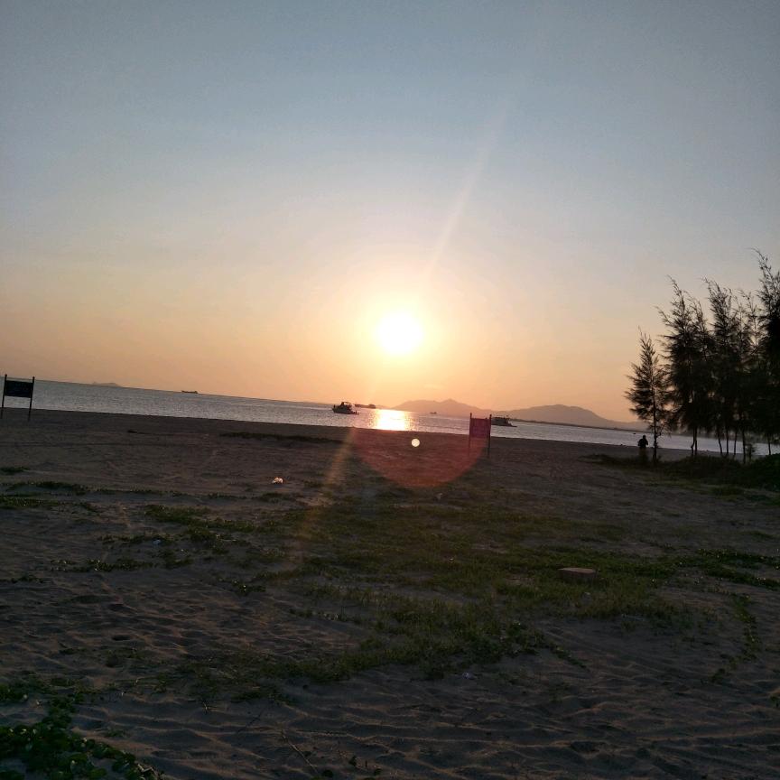 睿智行者 🚶‍♂️