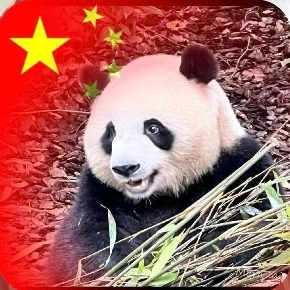 消防设施操作员-凌晨老师🥇