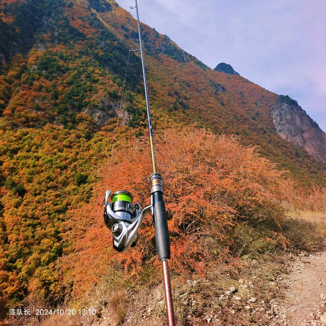 漆队（洮河导钓）