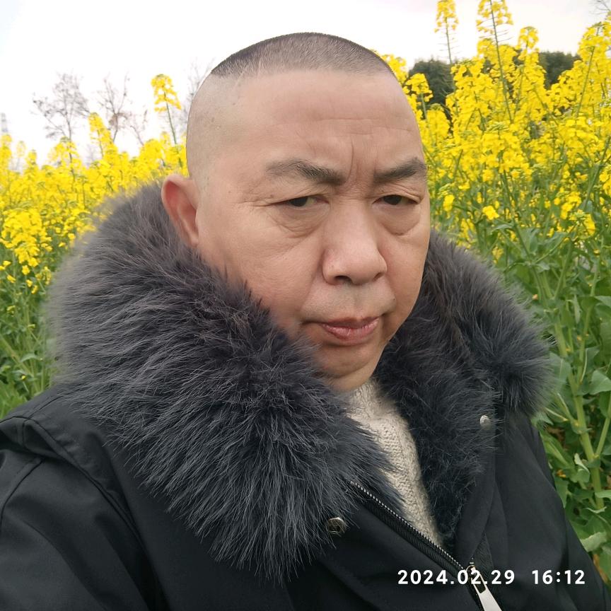 从头再来