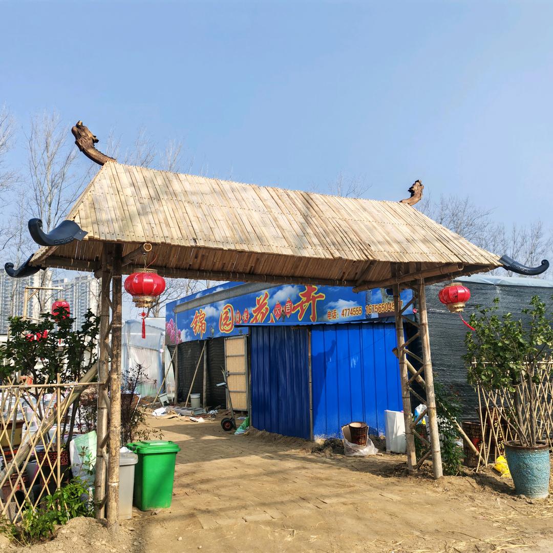 单县锦园花卉、胜天揽月武术馆