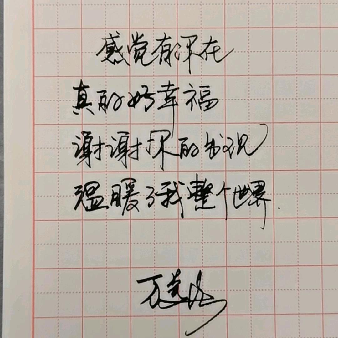 美美手写