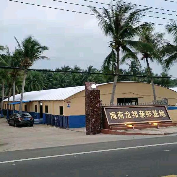 海南龙邦虾苗广东总部陈光弟总经理