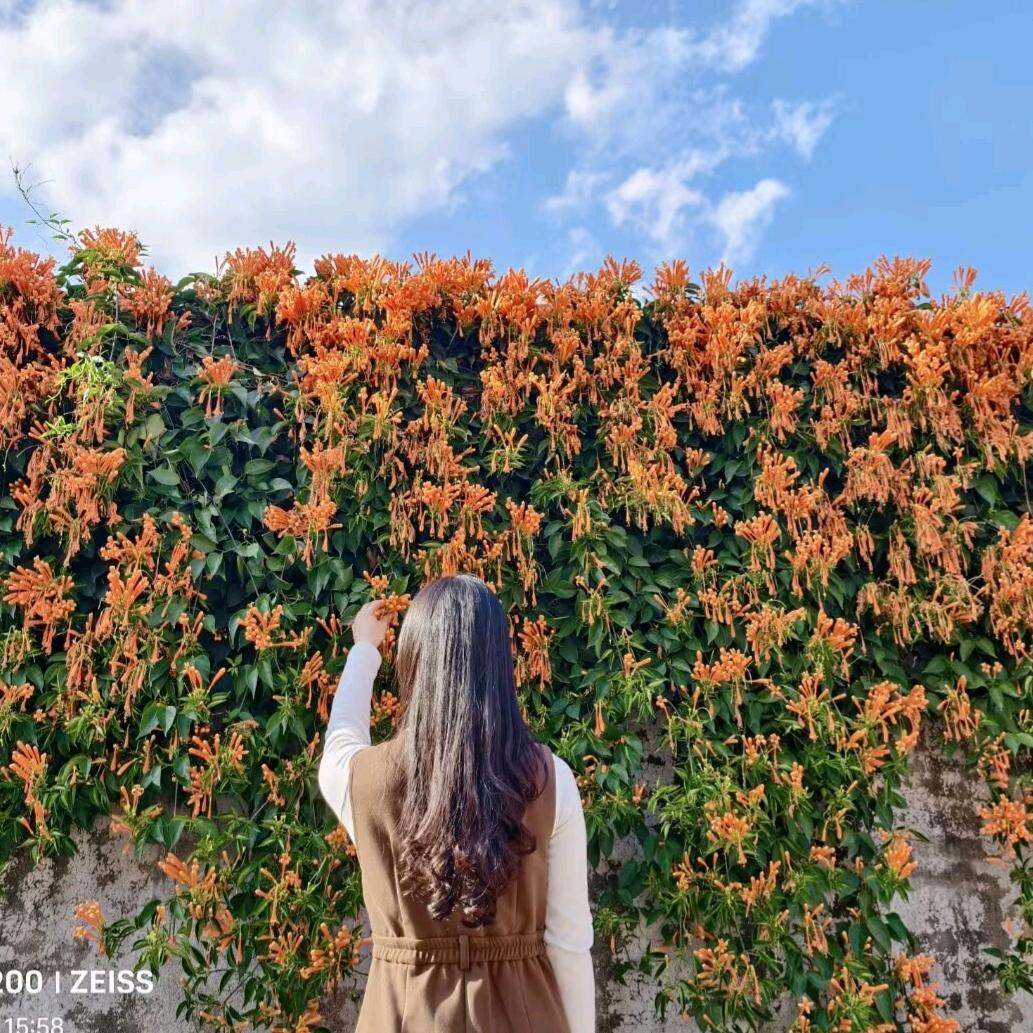 旧梦｛拒绝私聊｝