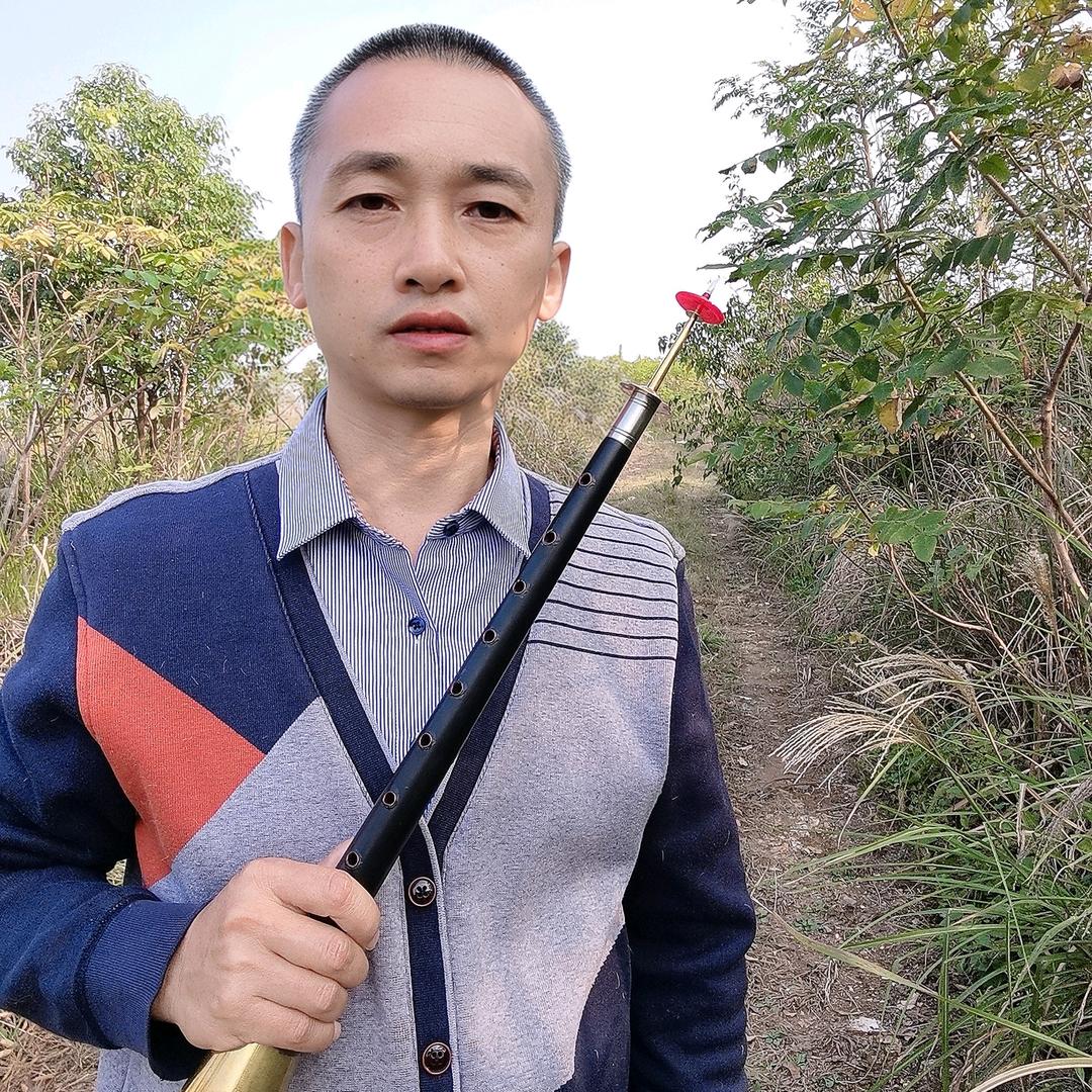 湖南唢呐杨