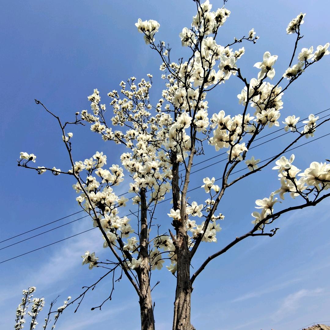 门窗主理人☞梦雨☜