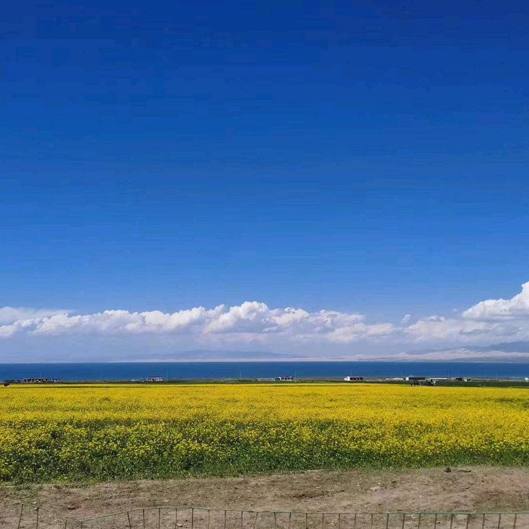 峰峰啊