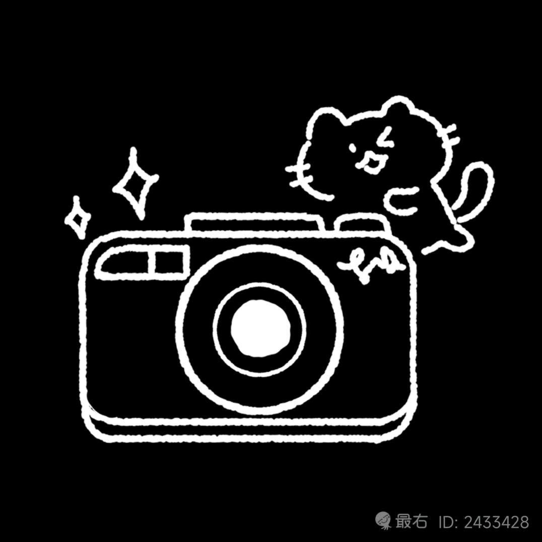 全媒体视频部