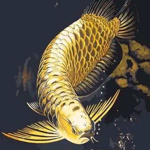 哈库呐玛塔塔