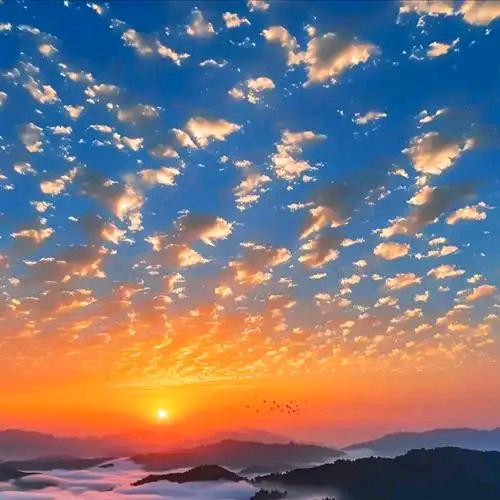 特强图文广告(怡新路店)汽喆黄蜂的直播号