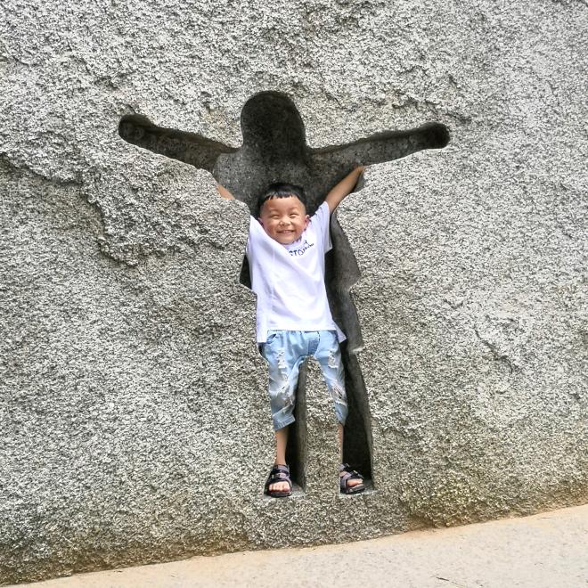 飞