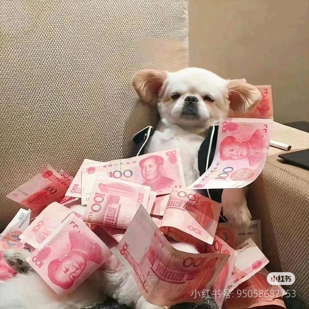 栖光向温烛