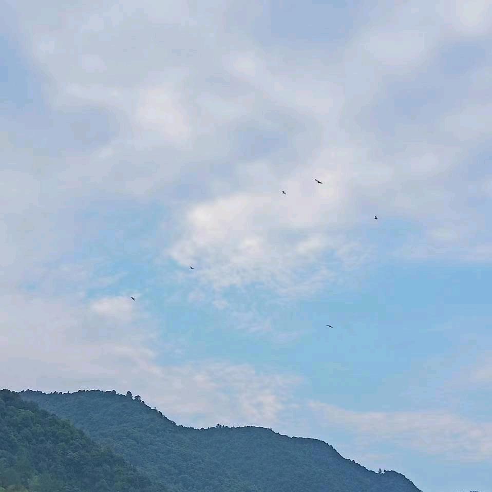 淡然处之