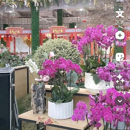 快餐联系，喜乐，