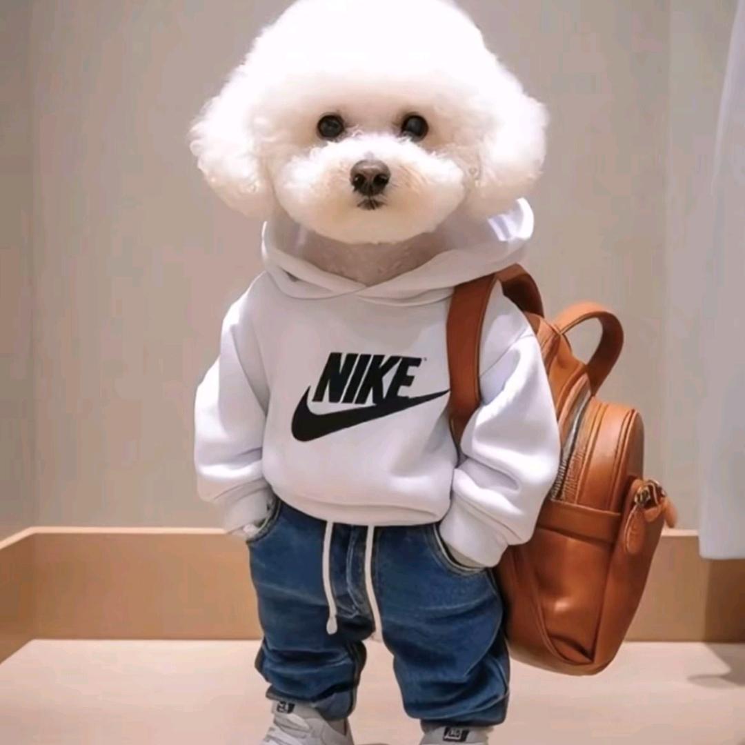 爲妳💰停留