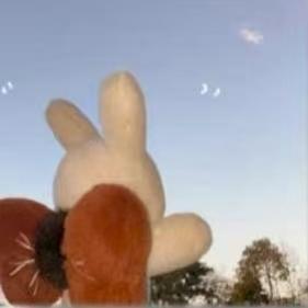 馋死猫