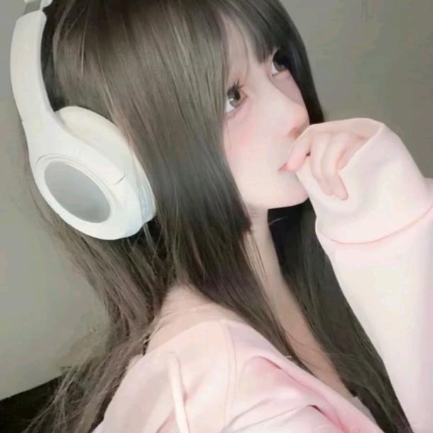 小猫碎碎念
