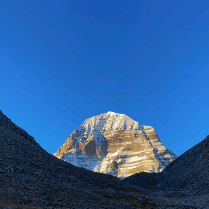 沐浴清晨的阳光