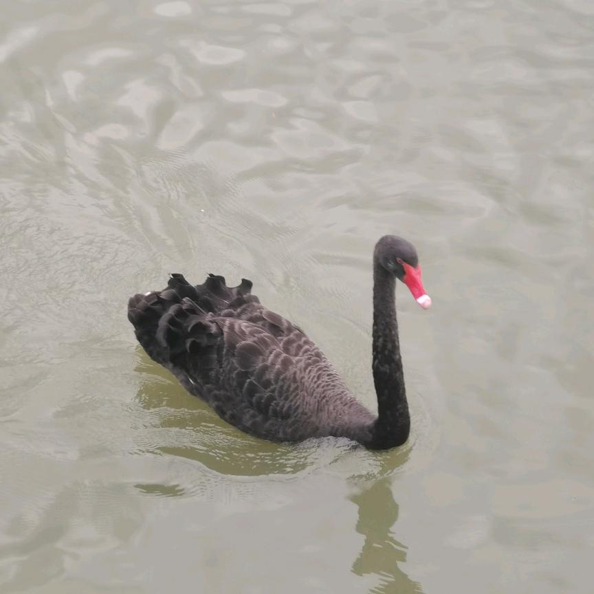 上善若水，厚德载物