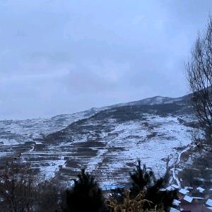 三角洲（专业带出）