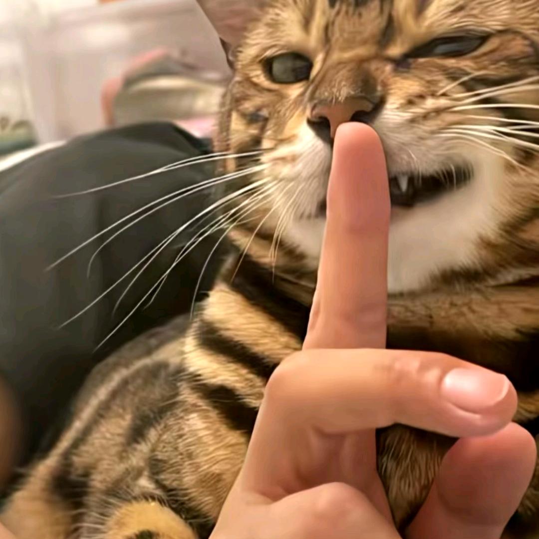 low炮