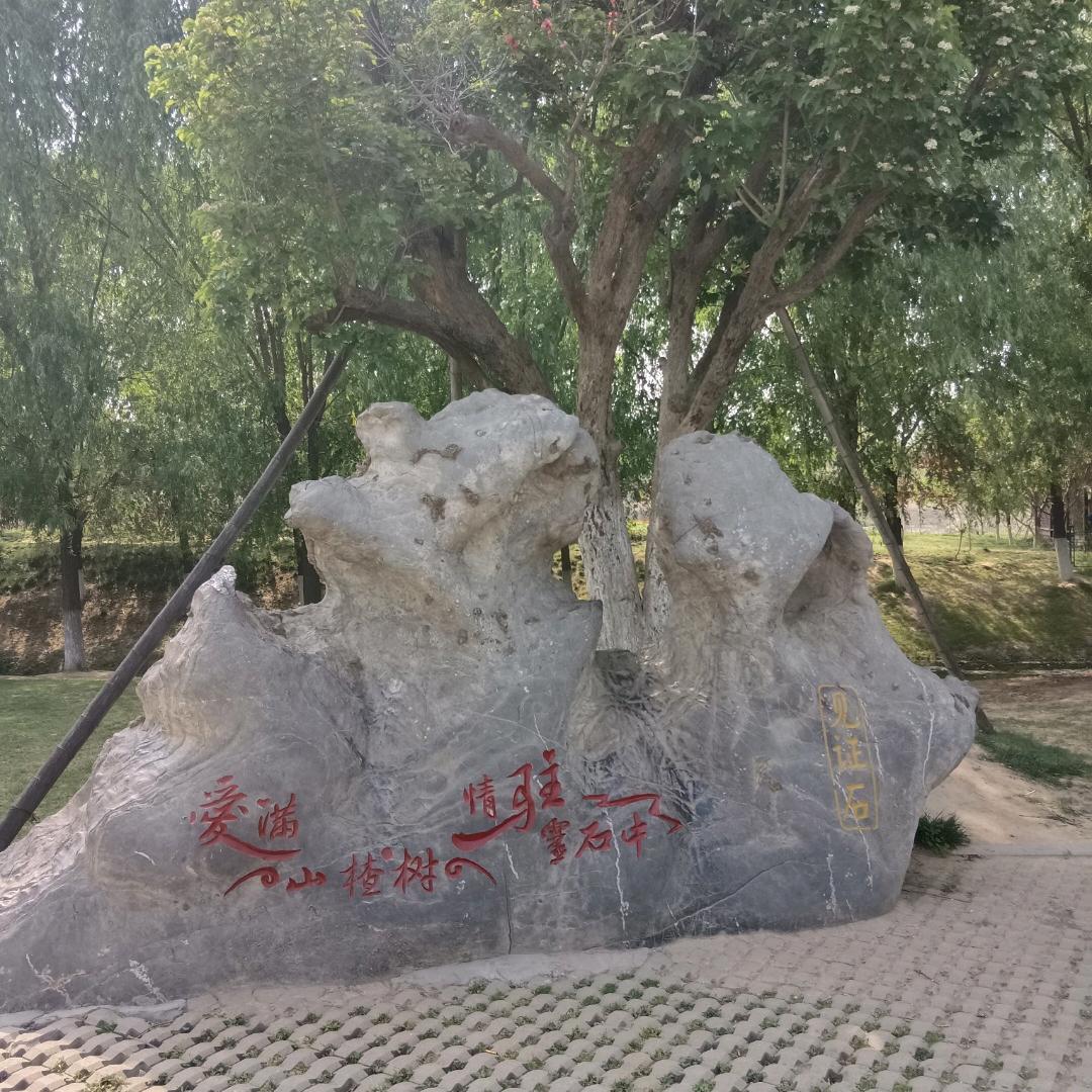 好人好