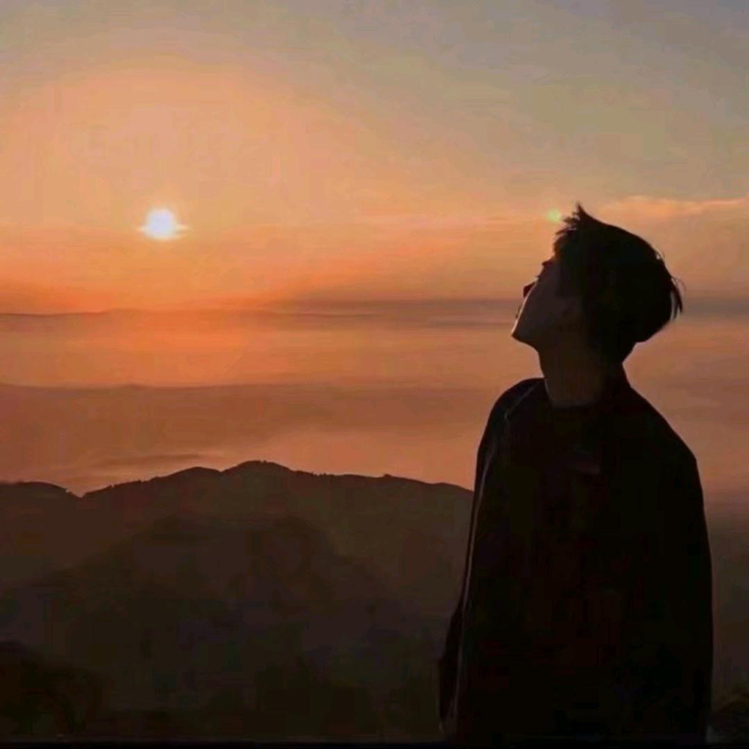 而我的南风你又在哪呢