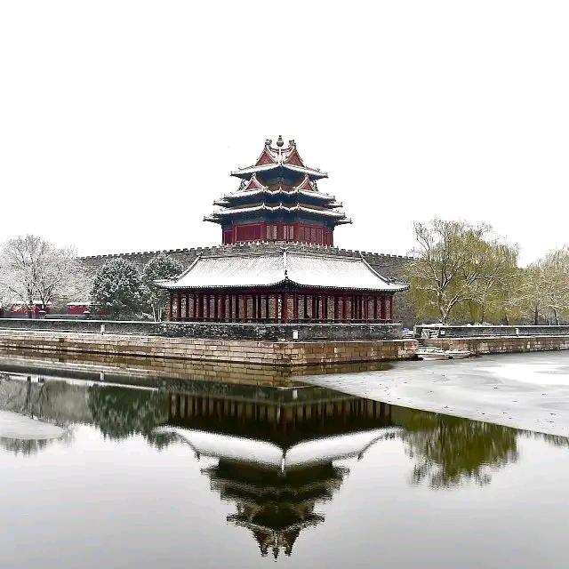 曾不服输