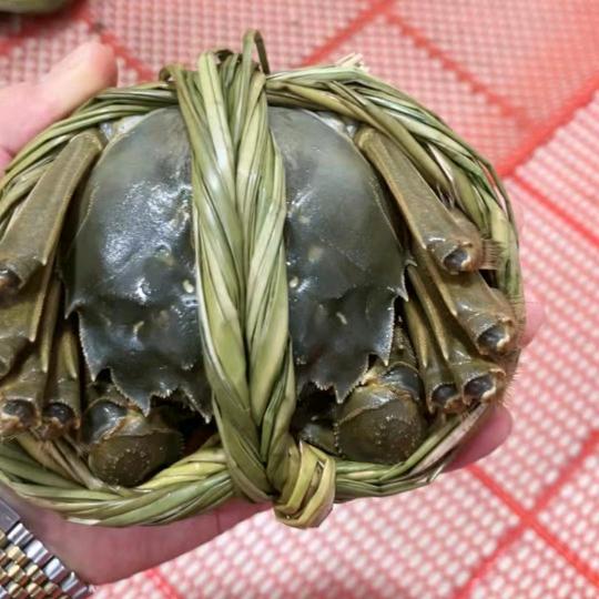 只做精品蟹。。AAAA胖蟹海鲜店。