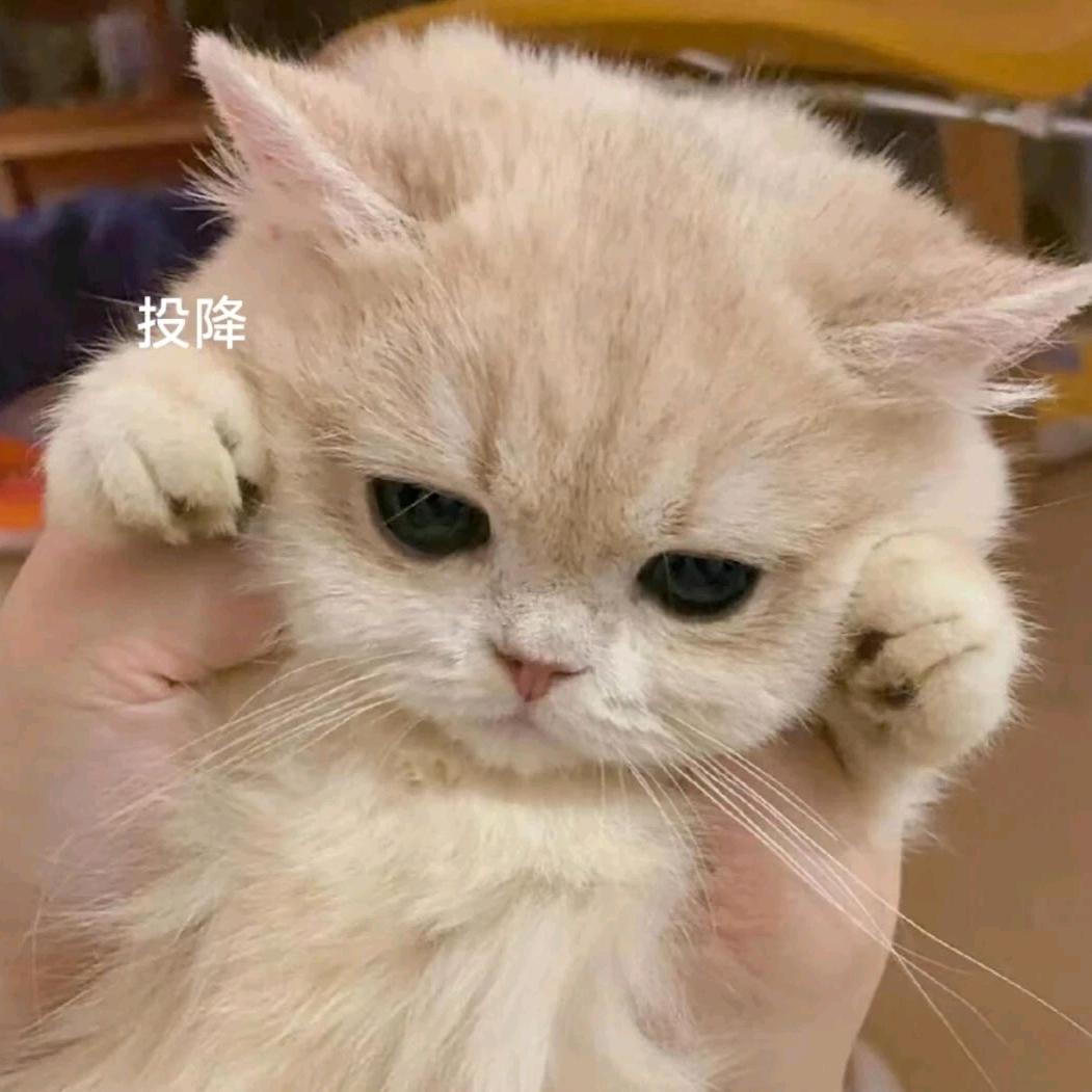 吖