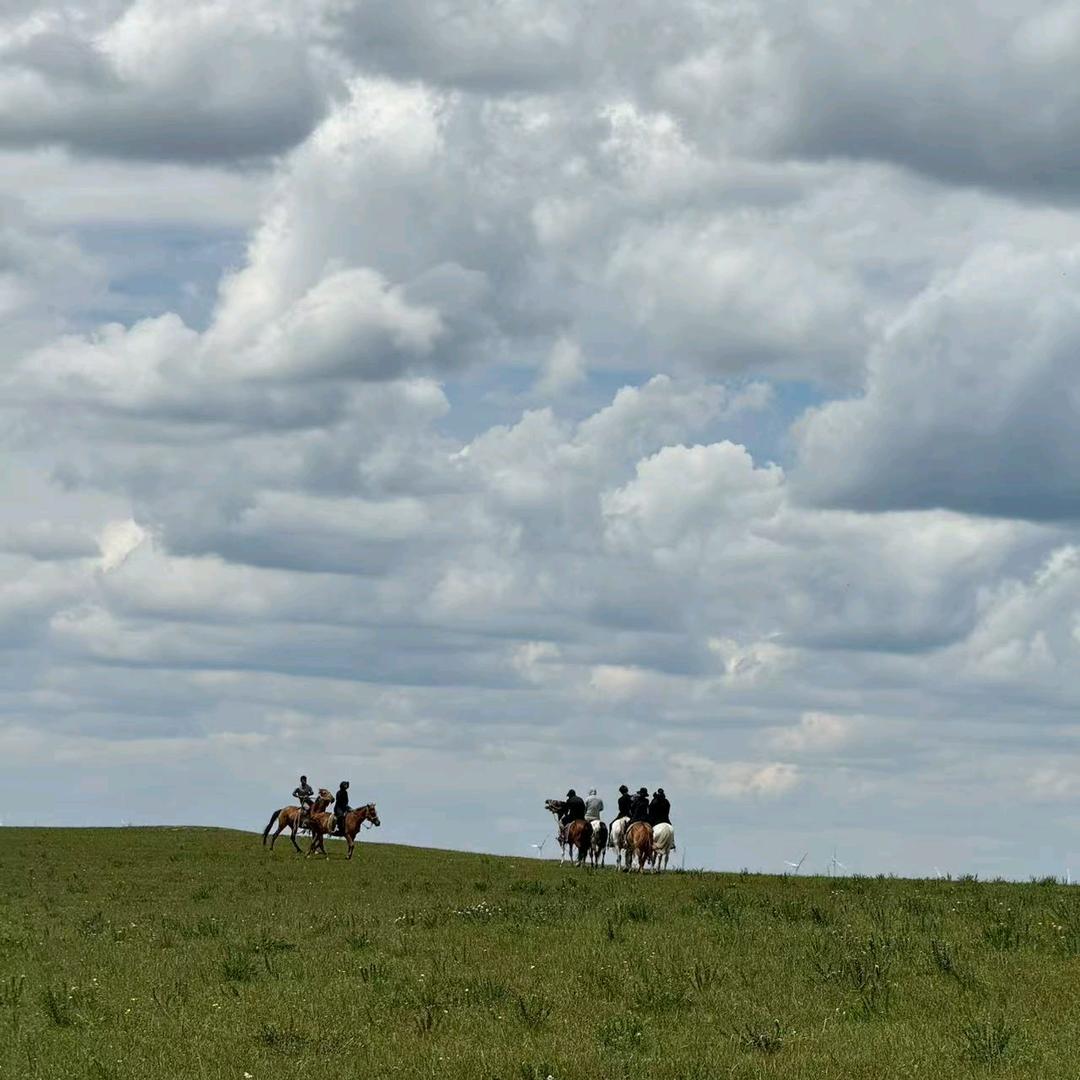 木禾（拒私聊）