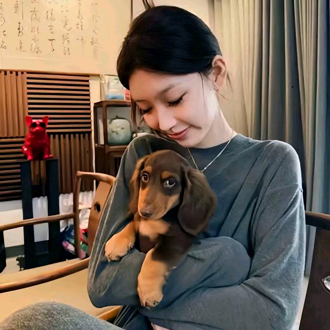 ＾奇文说唱家_🐾