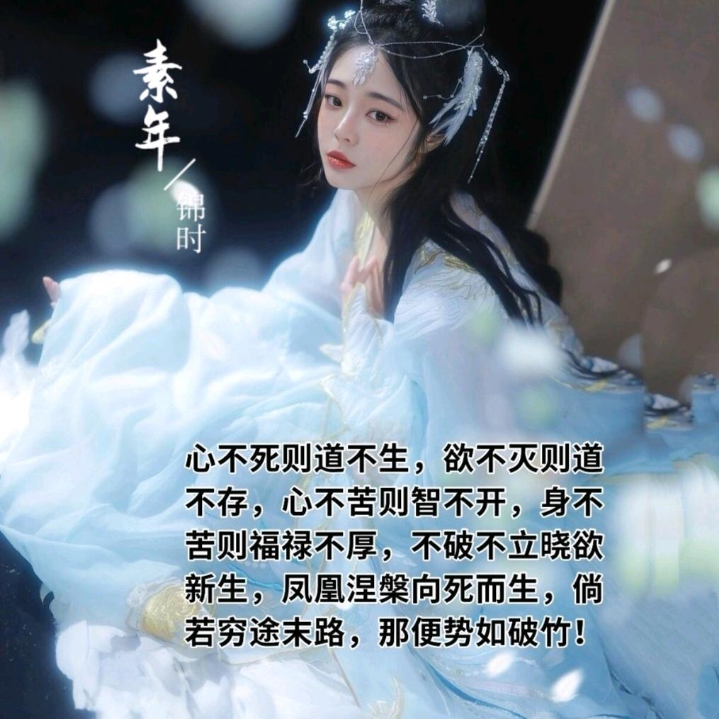 遗忘是最好的选择头像
