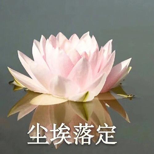 健康安全