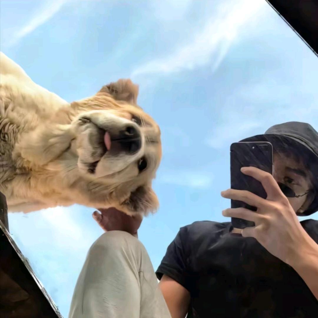 杨--🚶‍♂️