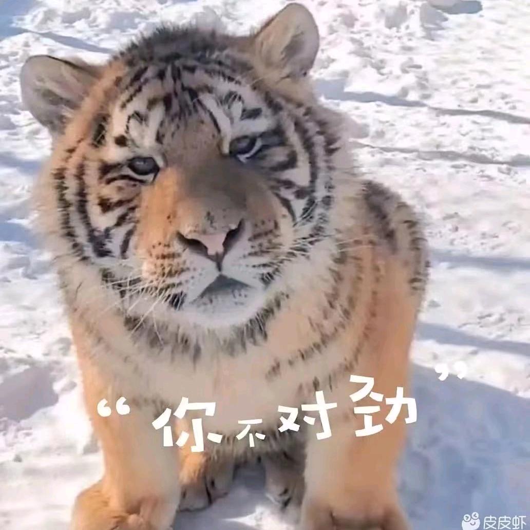 想你了松哥哥
