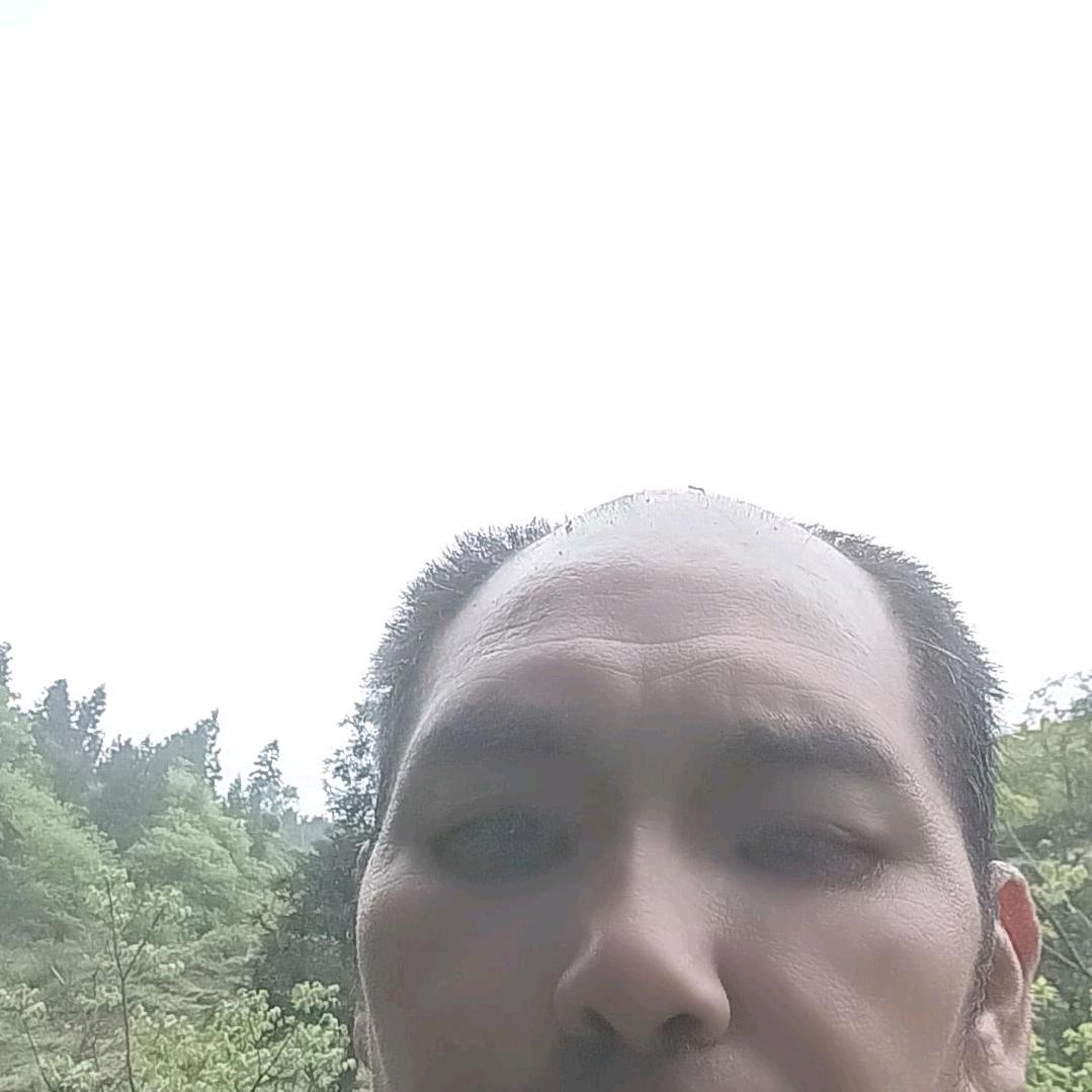 老赵正在直播